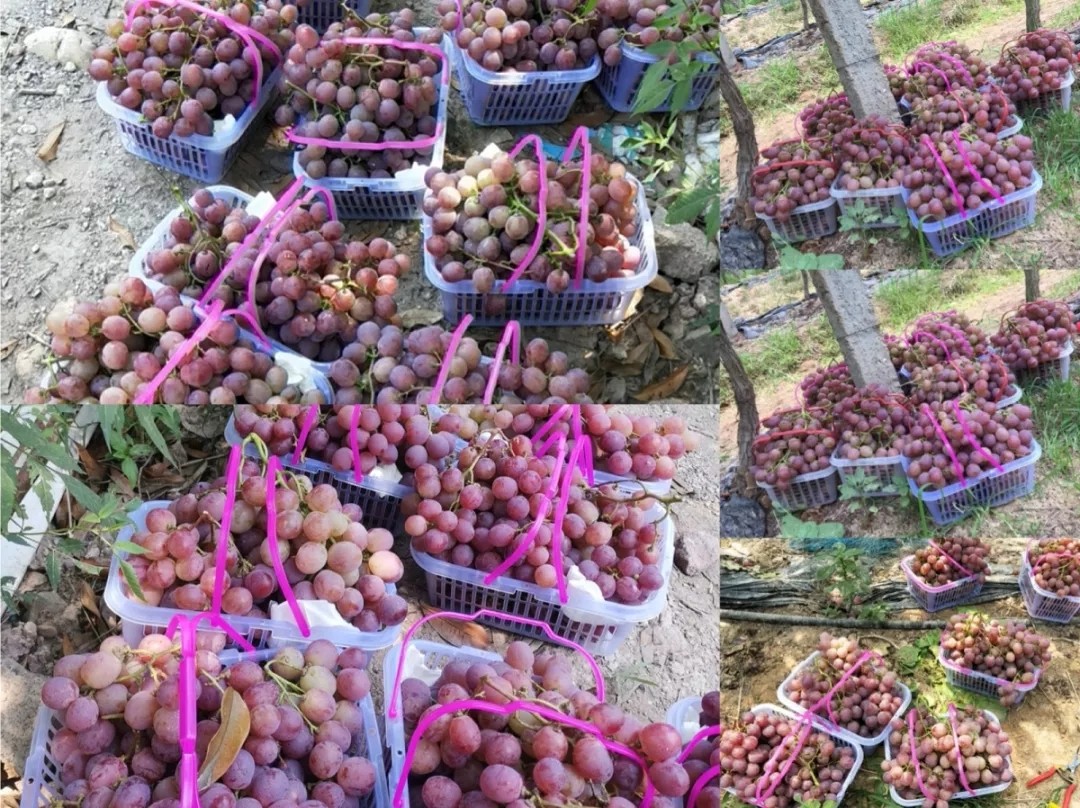 高端拉床,專用機床,內拉床,外拉床,數(shù)控機床,自動化生產(chǎn)線,工業(yè)機器人,拉床,拉刀,自動化 高端拉床,專用機床,內拉床,外拉床,數(shù)控機床,自動化生產(chǎn)線,工業(yè)機器人,拉床,拉刀,自動化