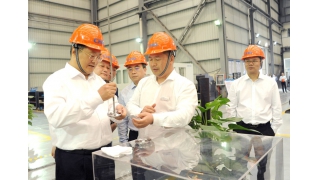 麗水市委書記張兵調(diào)研暢爾