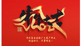 浙江暢爾智能裝備股份有限公司祝大家2021年新年快樂！