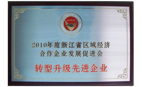 浙江省轉(zhuǎn)型升級先進企業(yè)獎牌