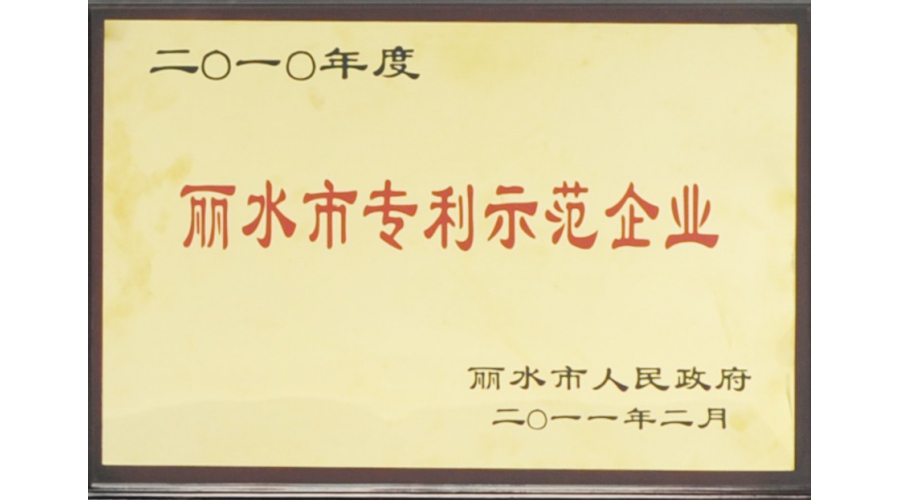 麗水市專利示范企業(yè)